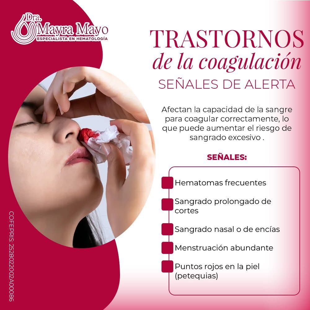 Mayra Lizbeth Mayo Martinez-13