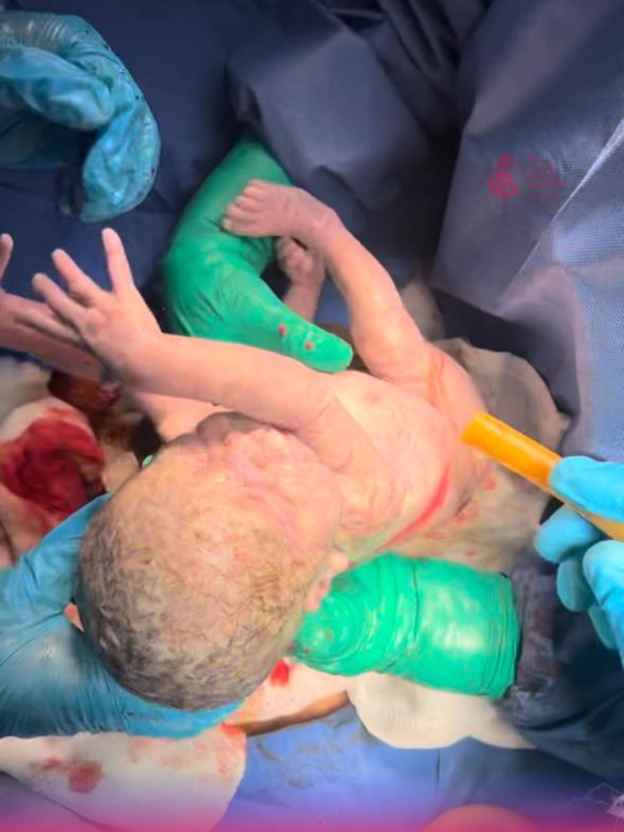 Tomás Cortés Martínez-7