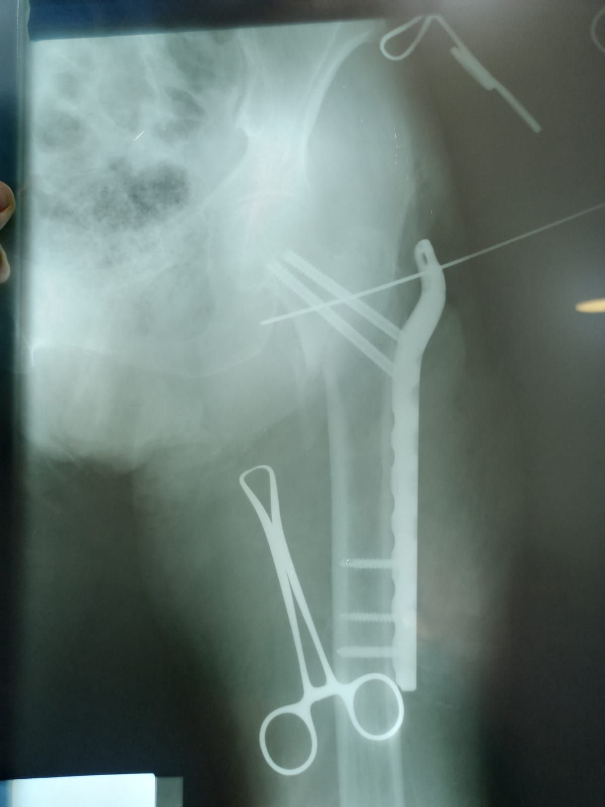 Carlos Horacio Sanchez Rodrigo-22