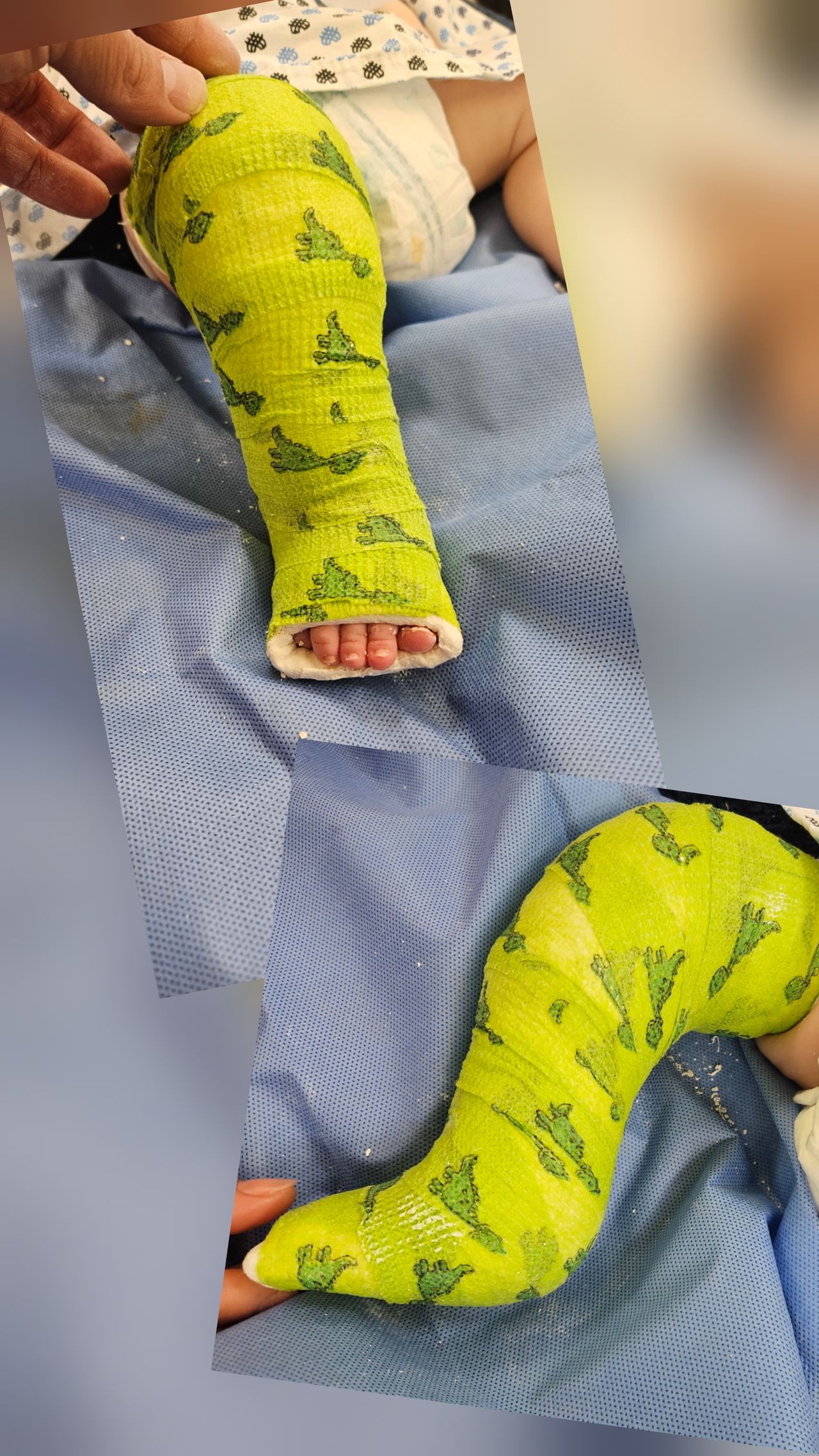 Gonzalo Alfonsín López-1