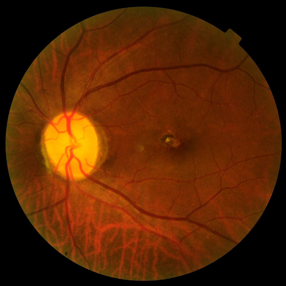 Miriam Adriana Ramos Hdez.-5