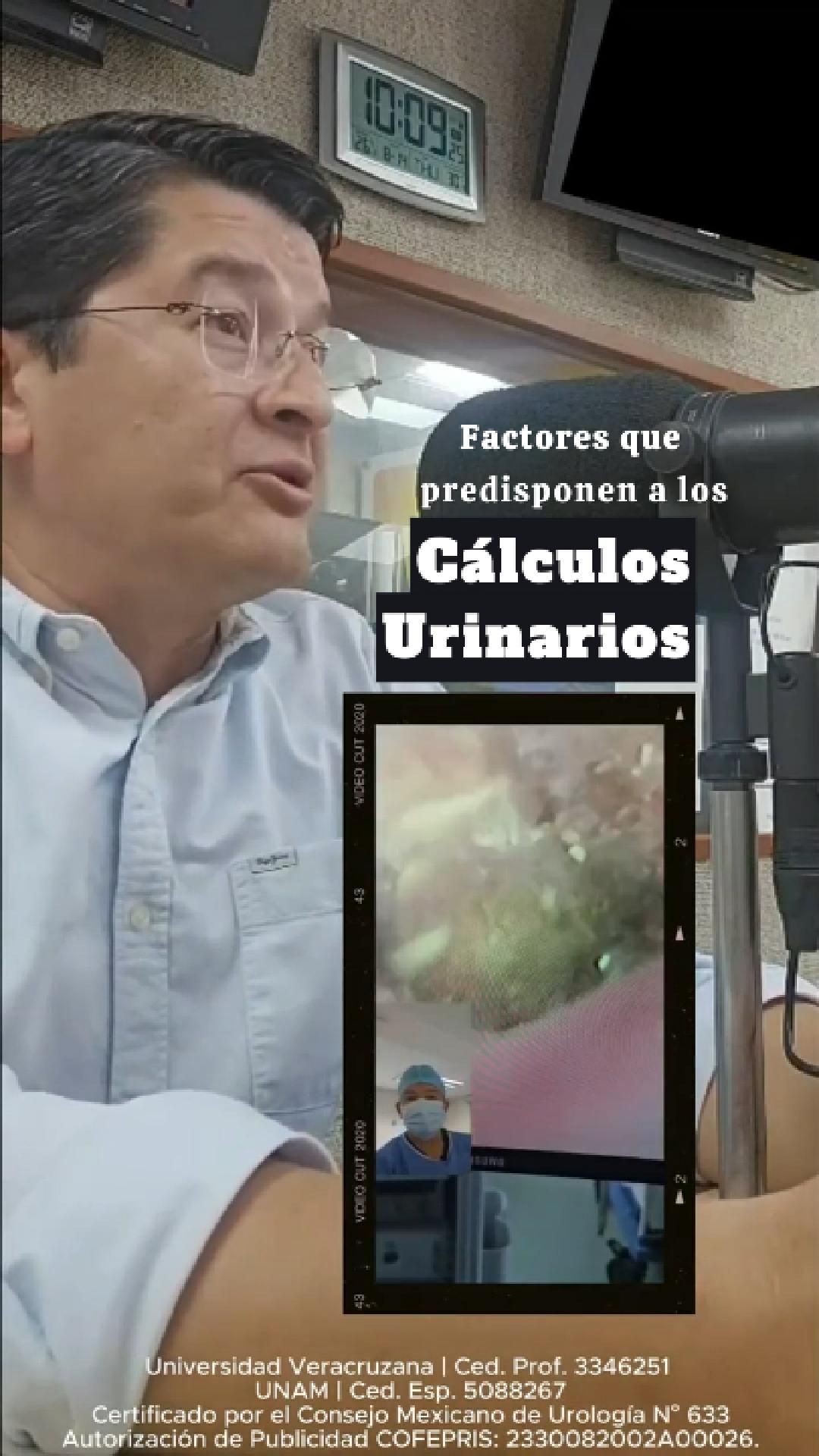 Efrain Barradas Huervo-7