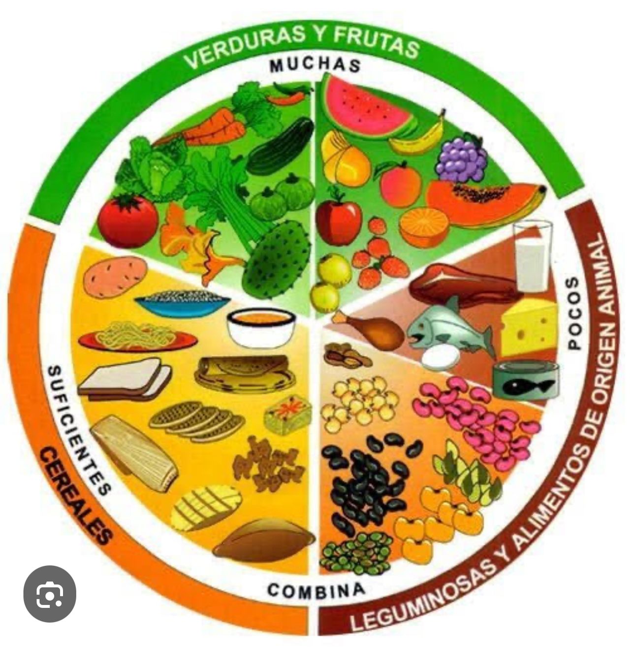 José Luis Pinacho Velázquez-13