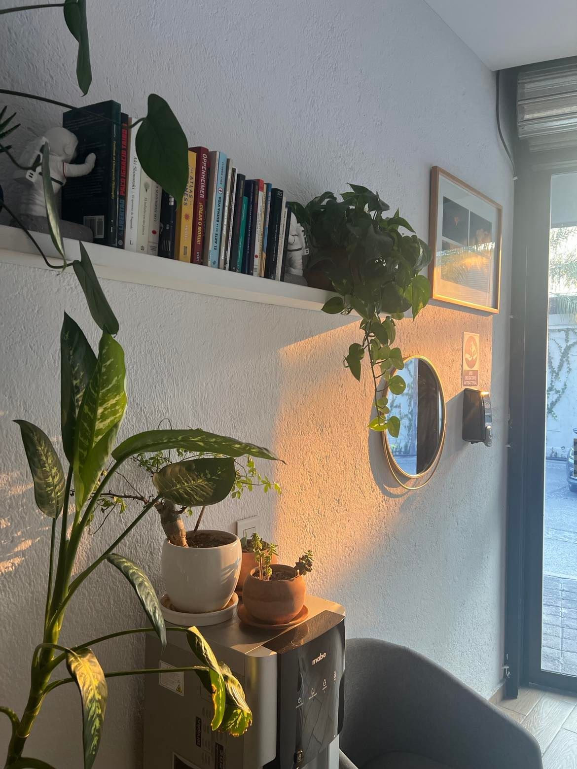 Alberto Isita Galeazzi-15