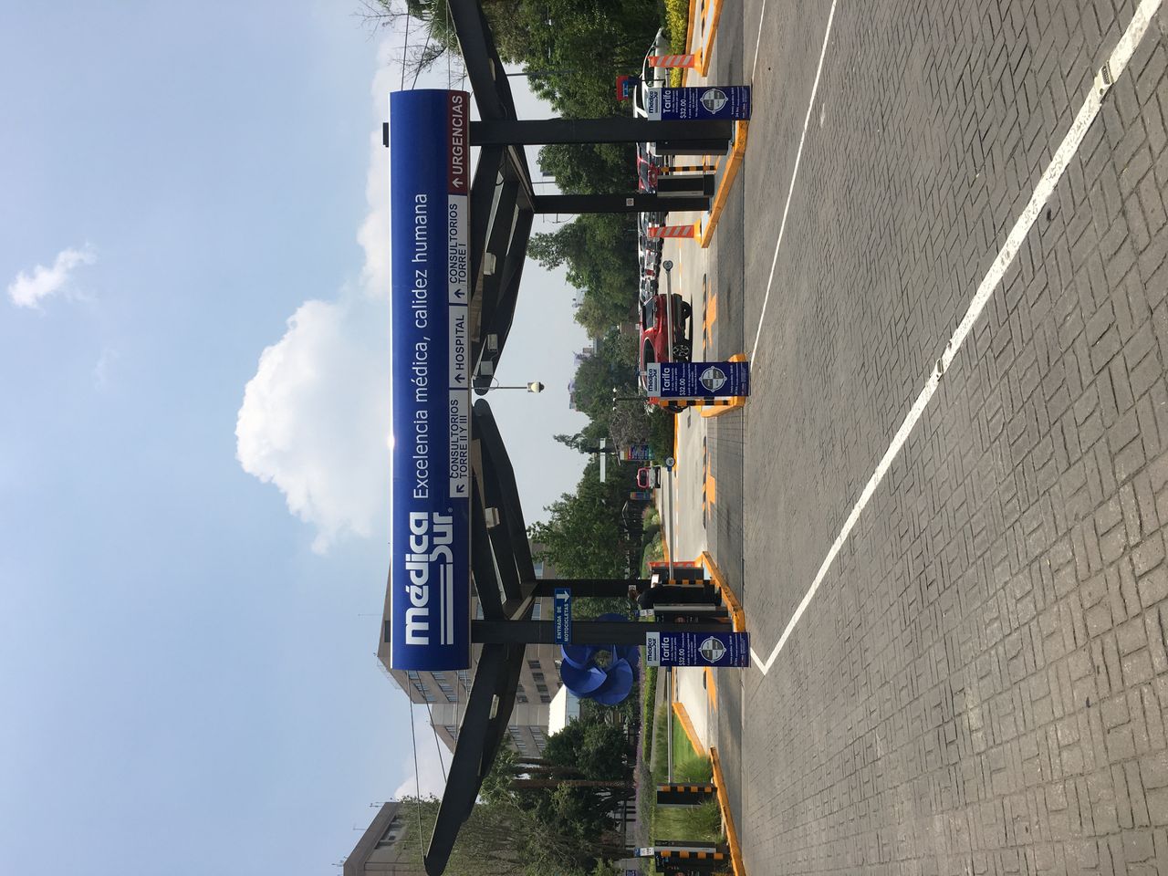 Alejandra Castillo Corral-4