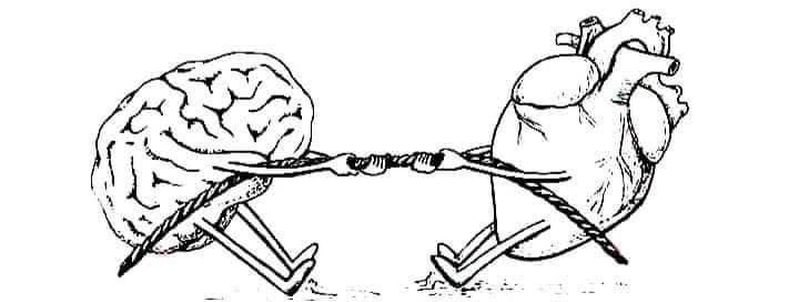 Carolina Ortiz Ixba-2