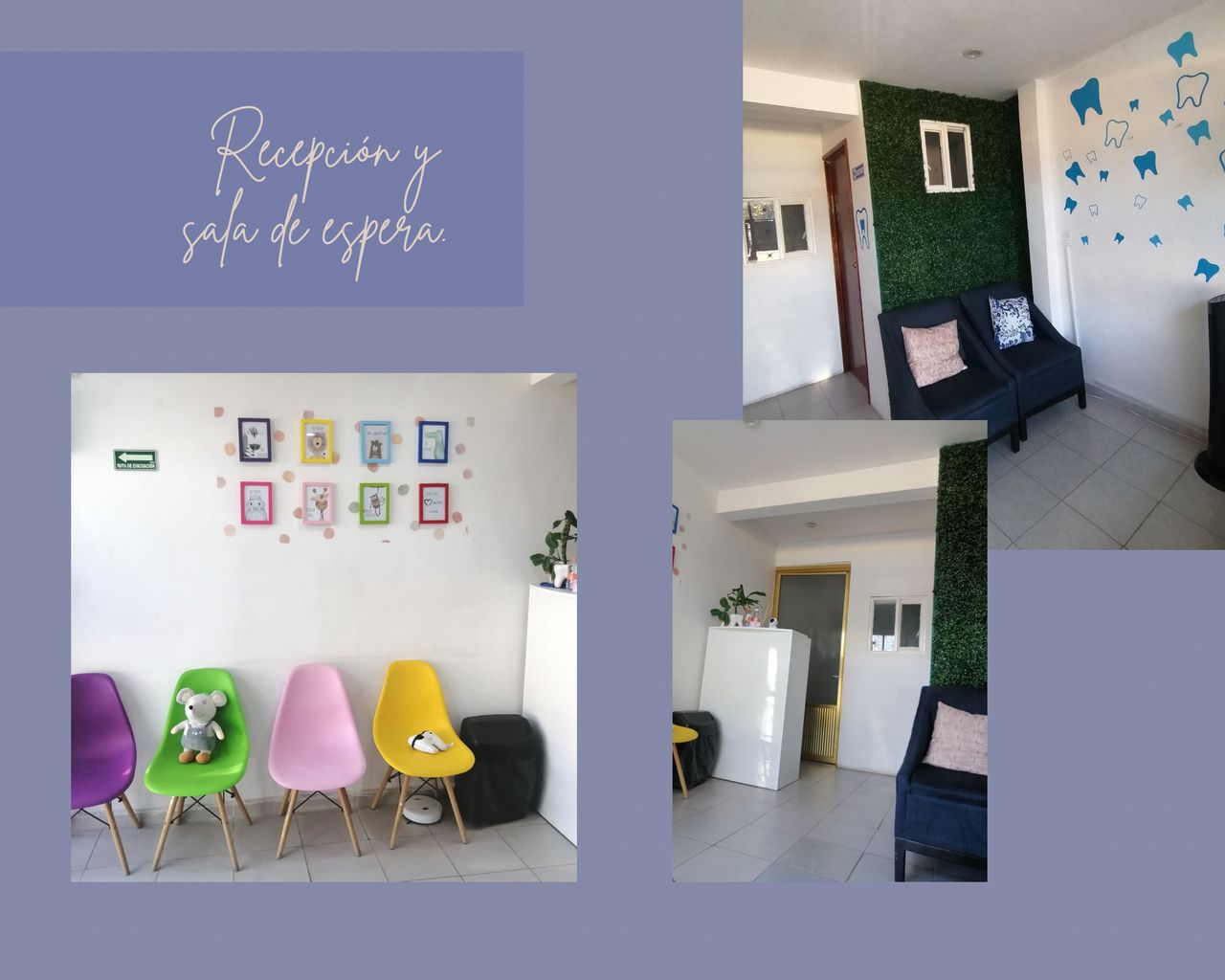 Ana Karen Montiel Reyes-0