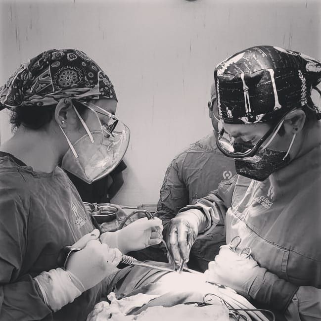 Cynthia R. Soto Alonso-1