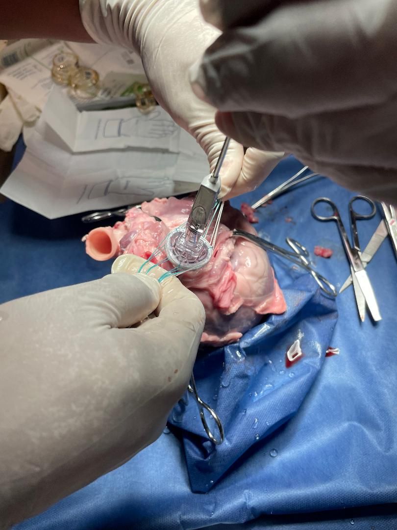 Victor Manuel Carmona Delgado-8