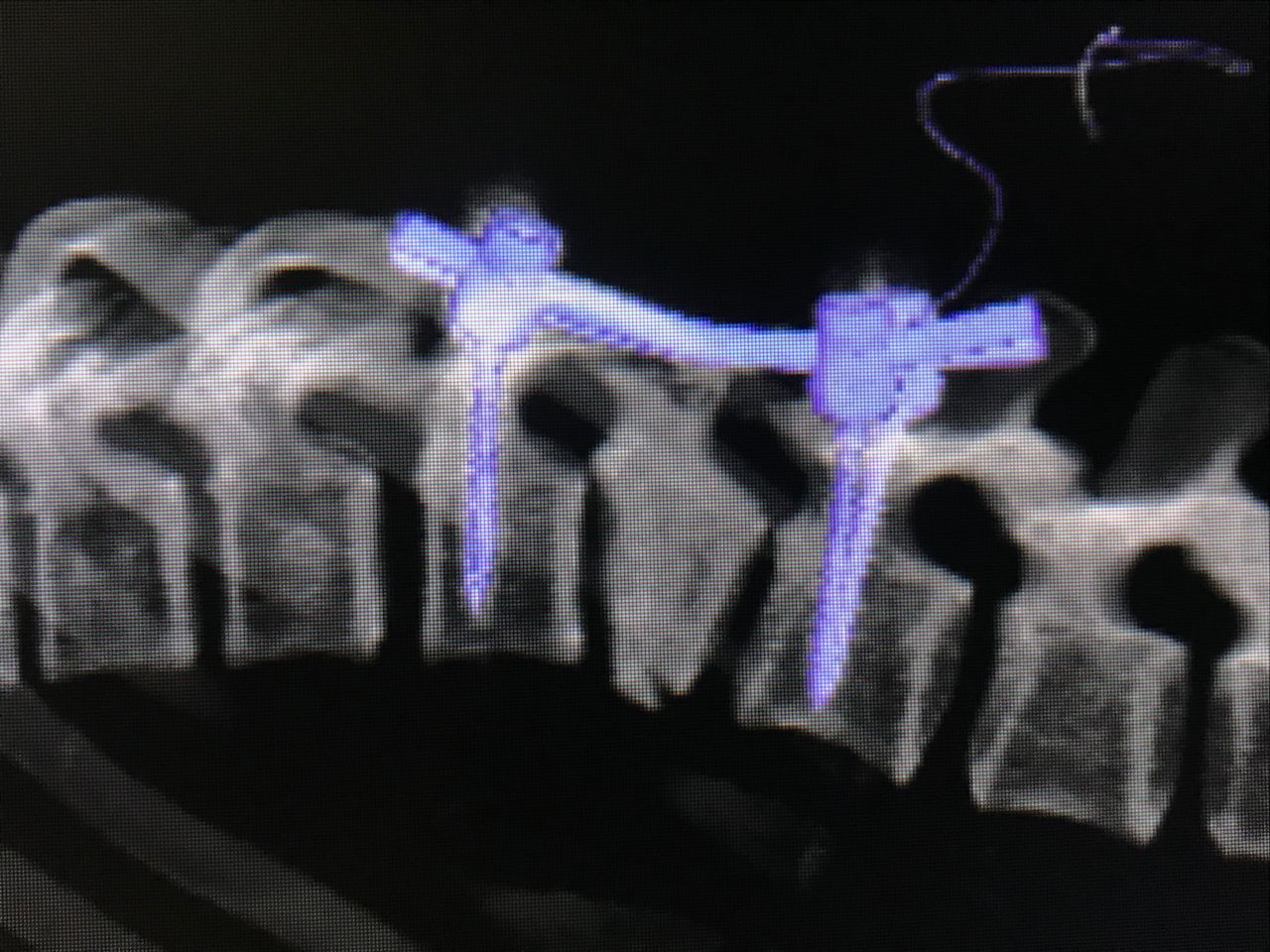 Rafael Maciel Morfin-28