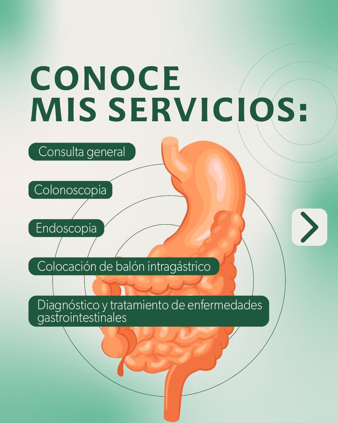 Wilmer Torrecilla Ramírez-9