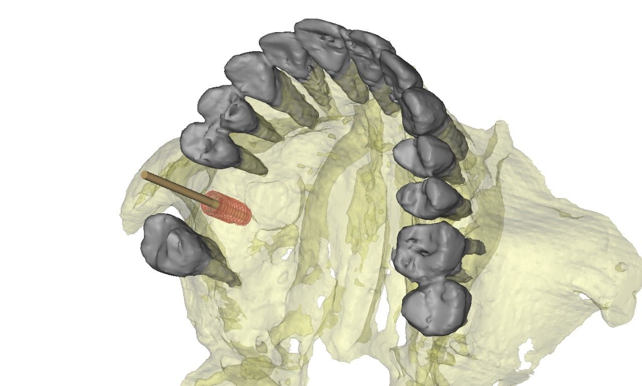 Ireri García Santana-13