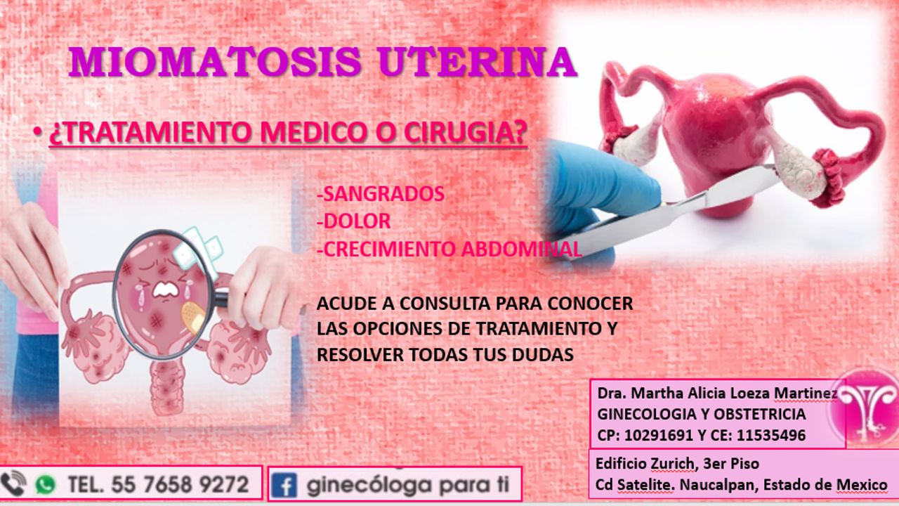 Martha Alicia Loeza Martínez-4