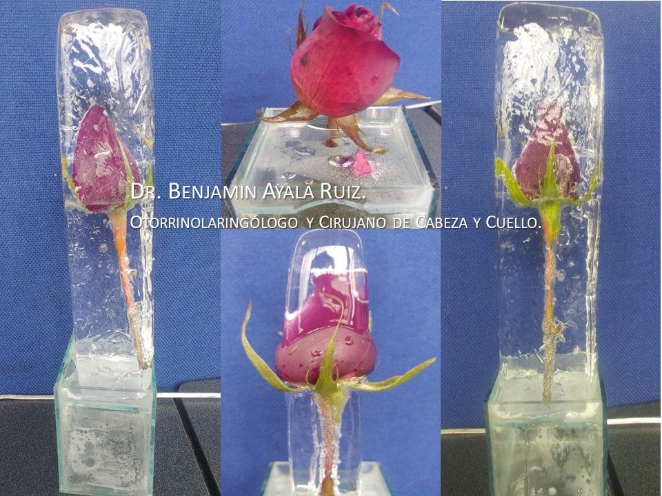 Benjamin Antonio Ayala Ruiz-4