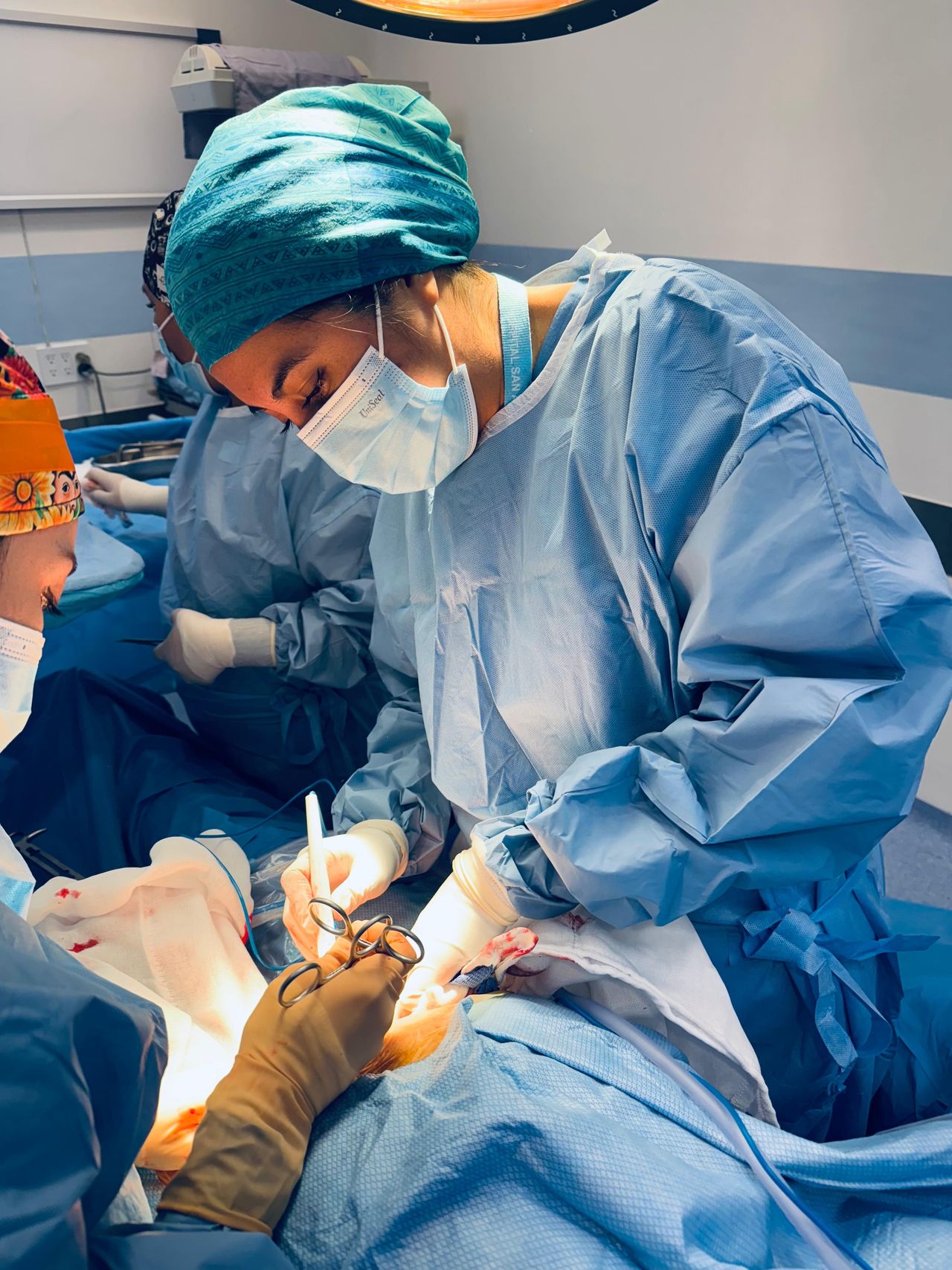 Ana Karen Castañeda Solis-2