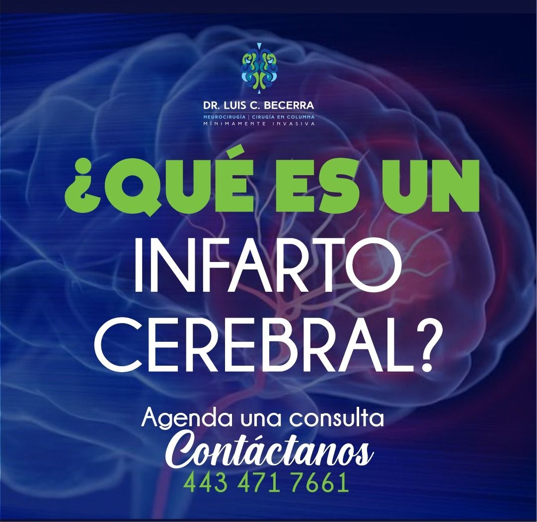 Luis C Becerra-8