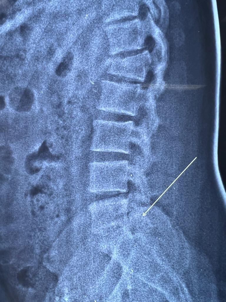 Carlos Tariacuri Valencia Aviles-7