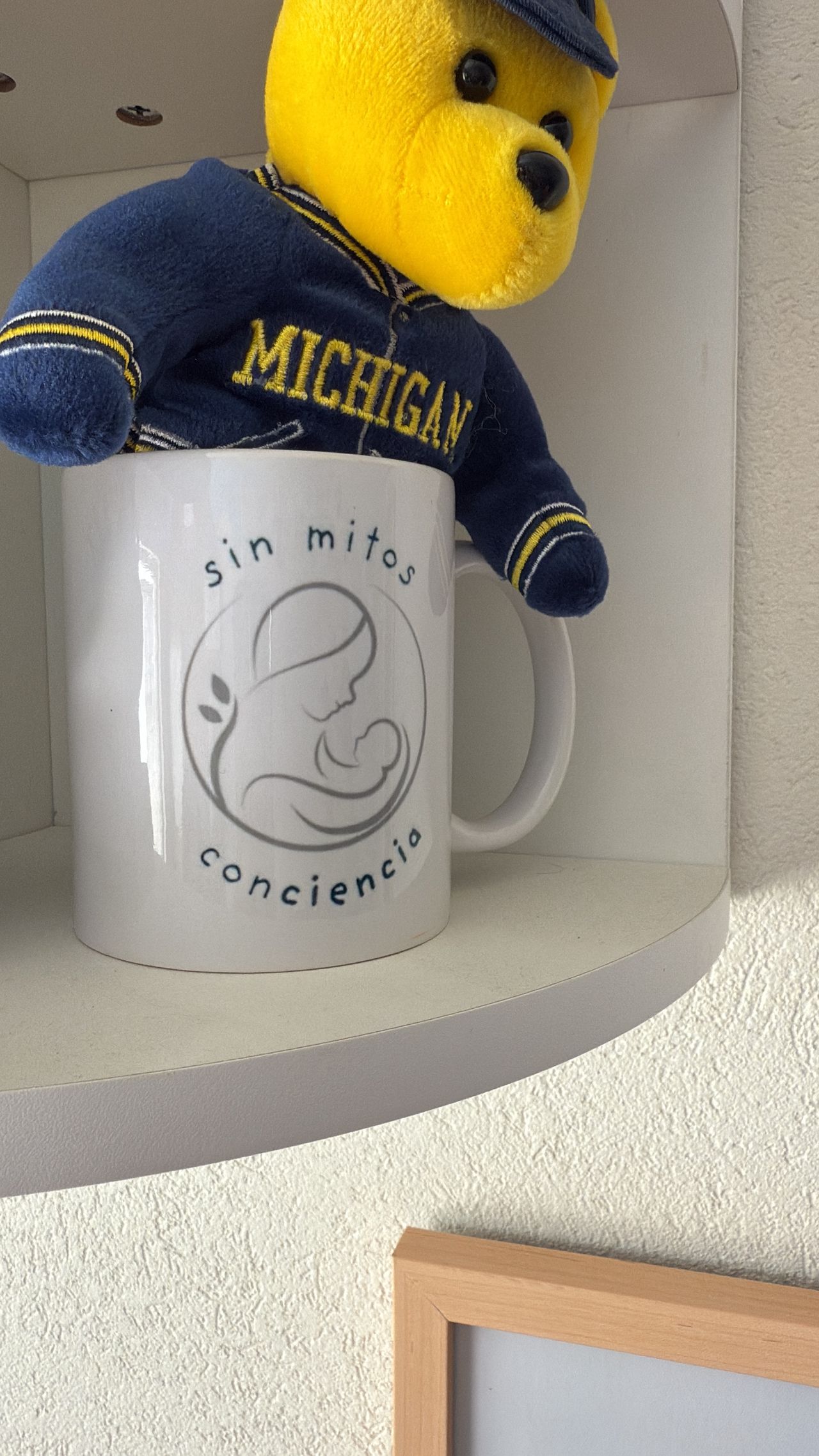 Brenda Gabriela Alonso-4