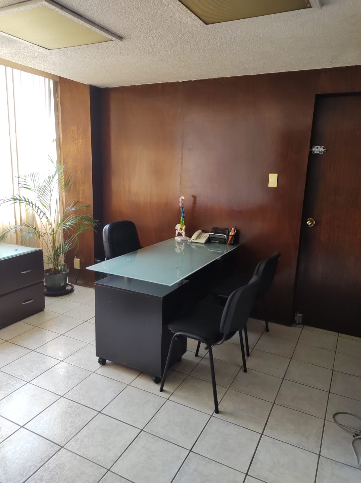 María De Los Ángeles Mendiola Roa-0