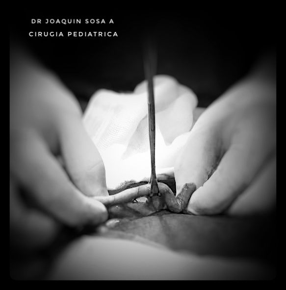 R. Joaquín Sosa Azcorra-13