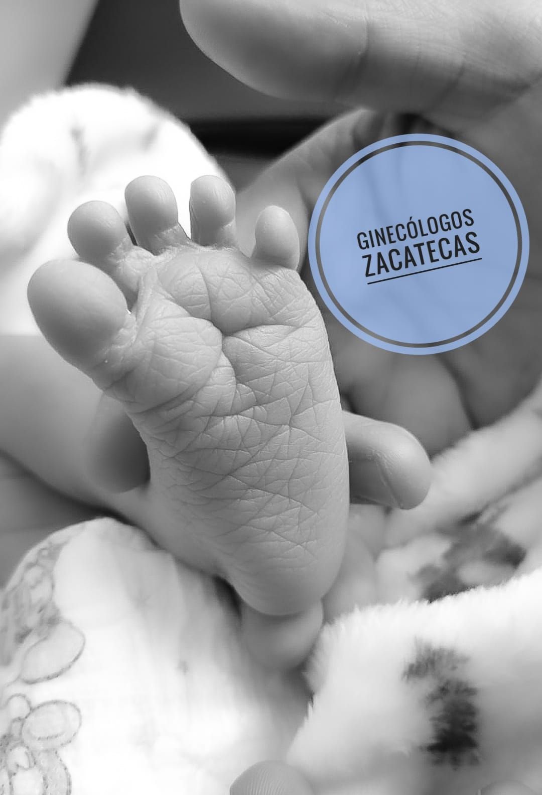 Porfirio Barrera Mata-3