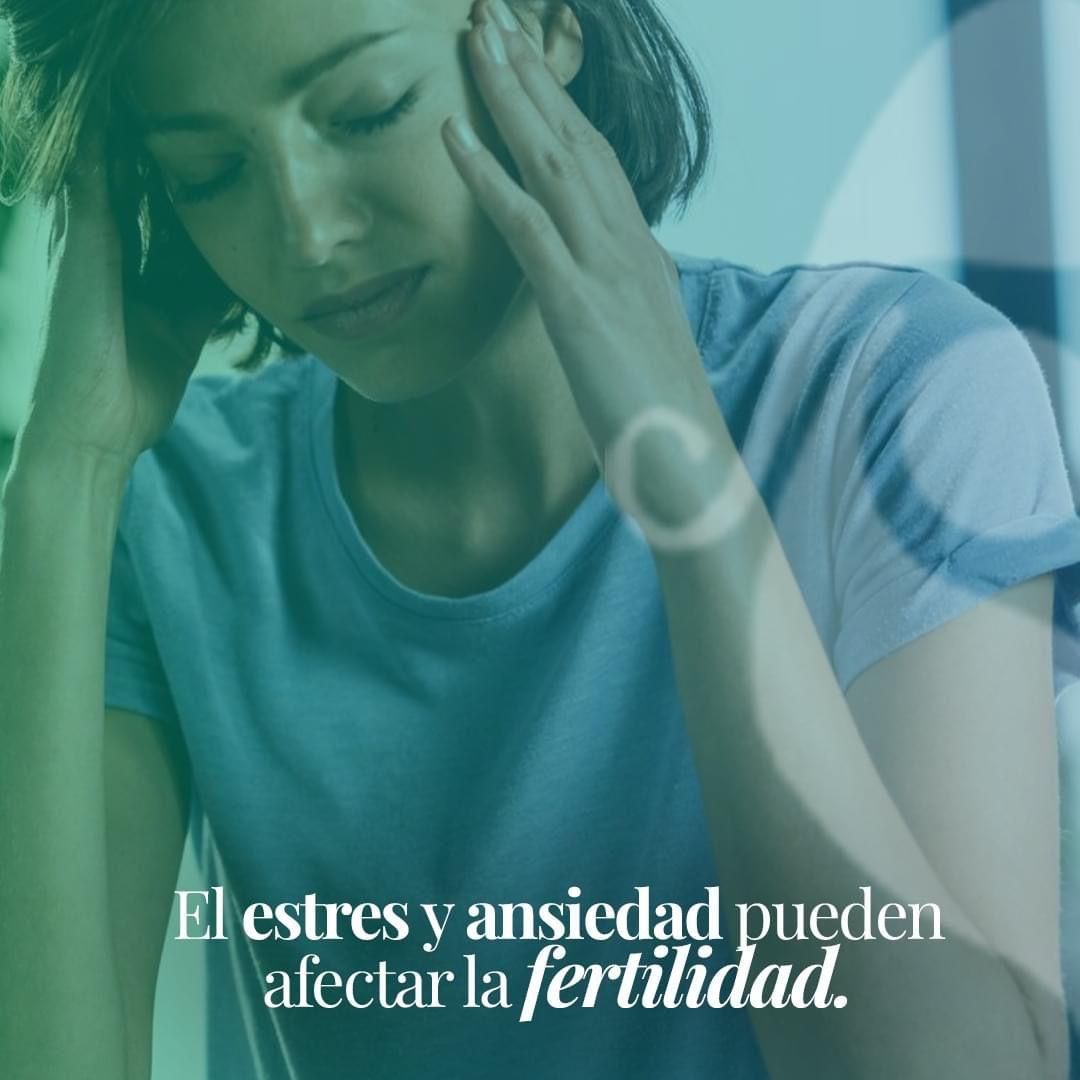 Gonzalo Hernández Martínez-76