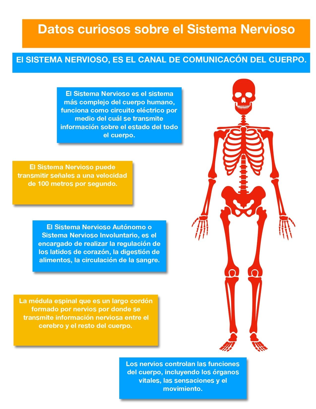 Gebhard K. Sproll Rojas-2