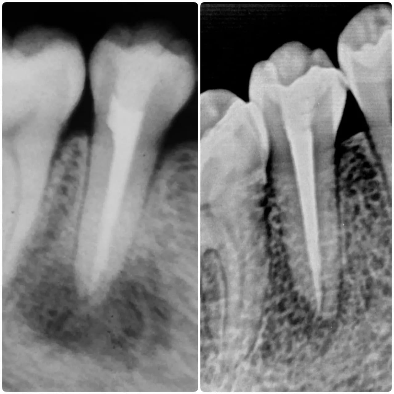 Juan Angel Cruz Rodríguez-21