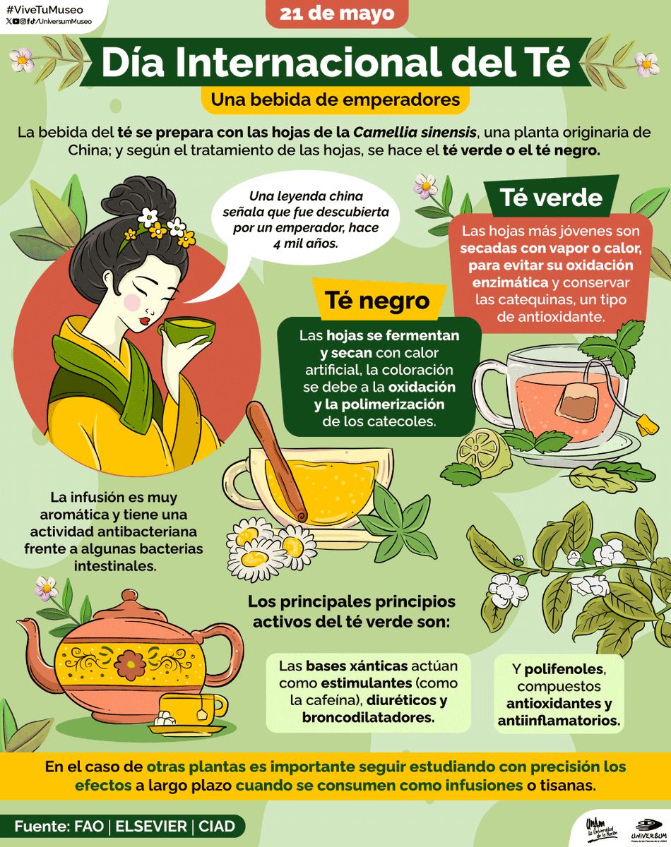 Raymundo Alejandro Cuevas Escalante-74