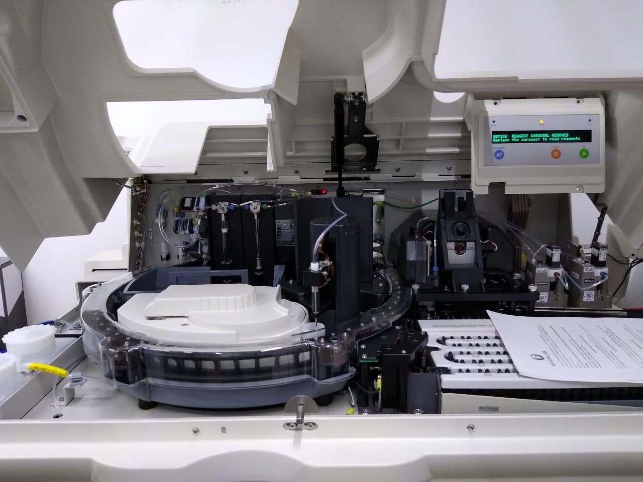 Alma Pérez Galván-12