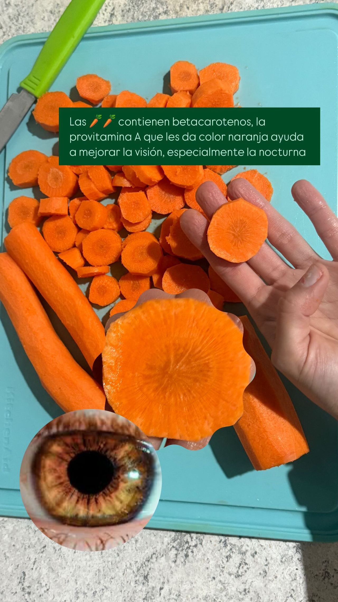 Nallely Del Carmen Núñez Ibáñez-31