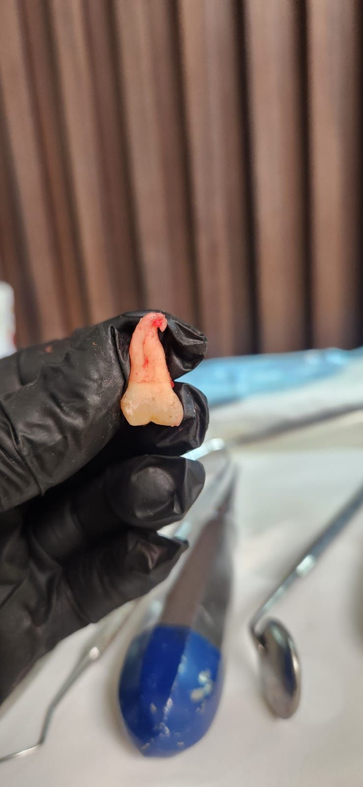 Ericka J. Hidalgo Vallejo-11