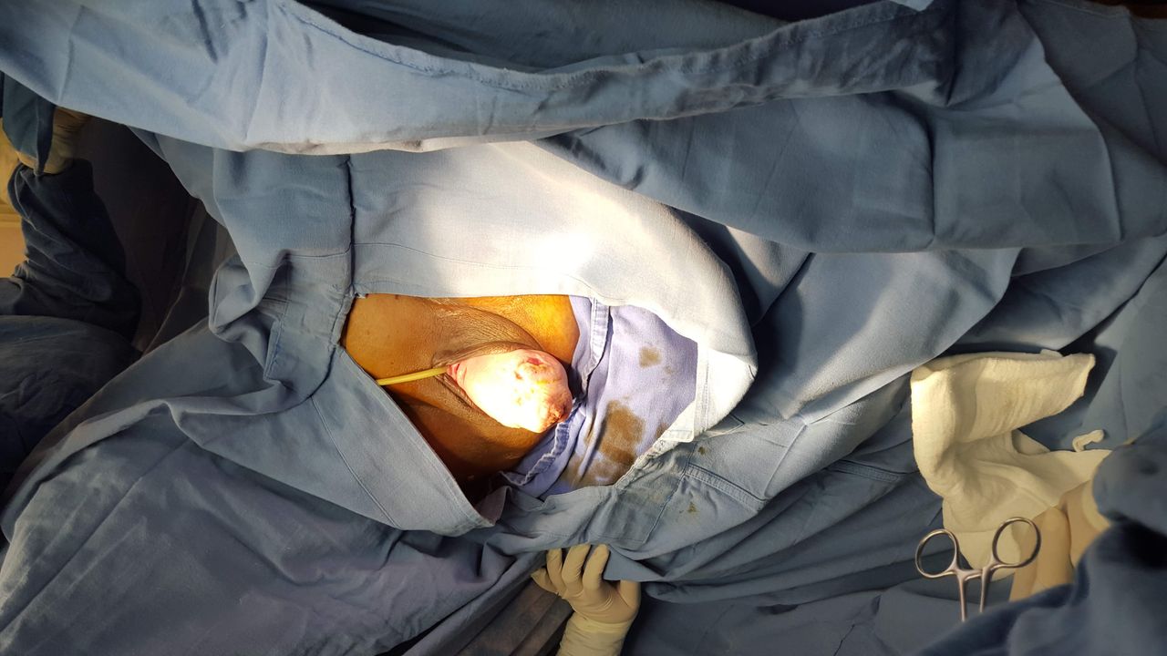 Marisol I. Alvarez Carrasco-17