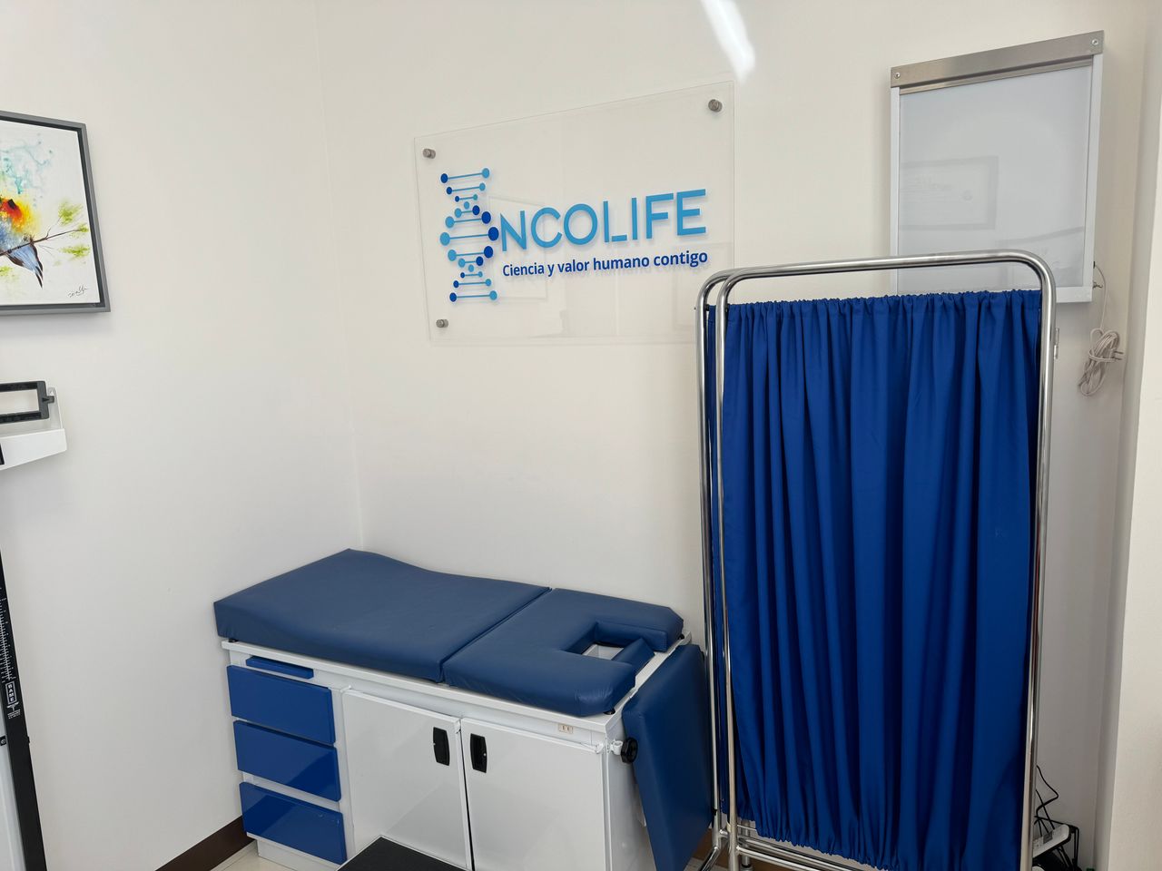 Gabriela Torres Velázquez-0