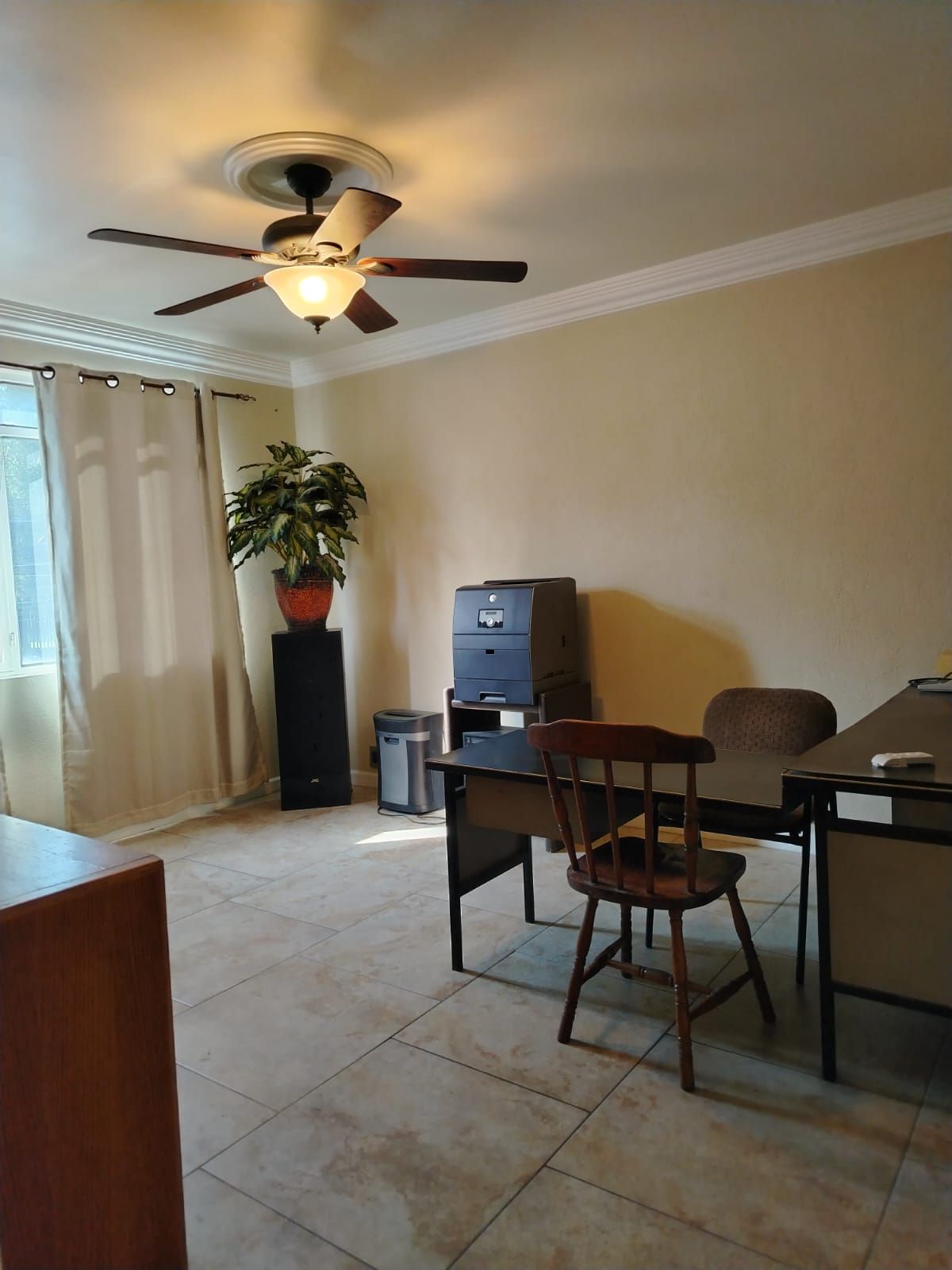 Guadalupe Fausto Sánchez-0