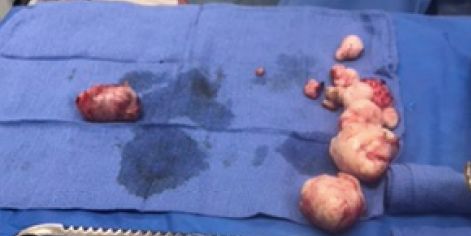 Griselda Reyes Torres-98