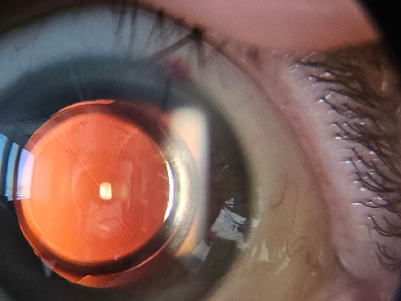 Francisco Ventura Rodríguez-5