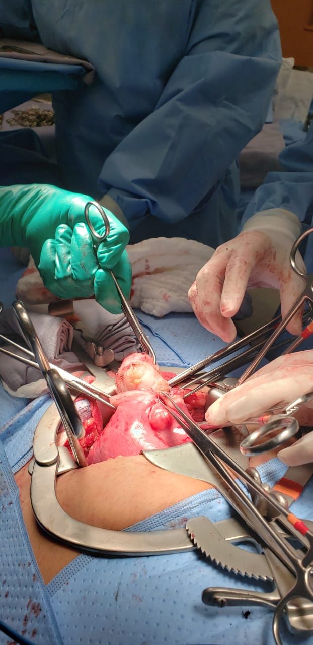 Nayeli Martínez Jaime-13