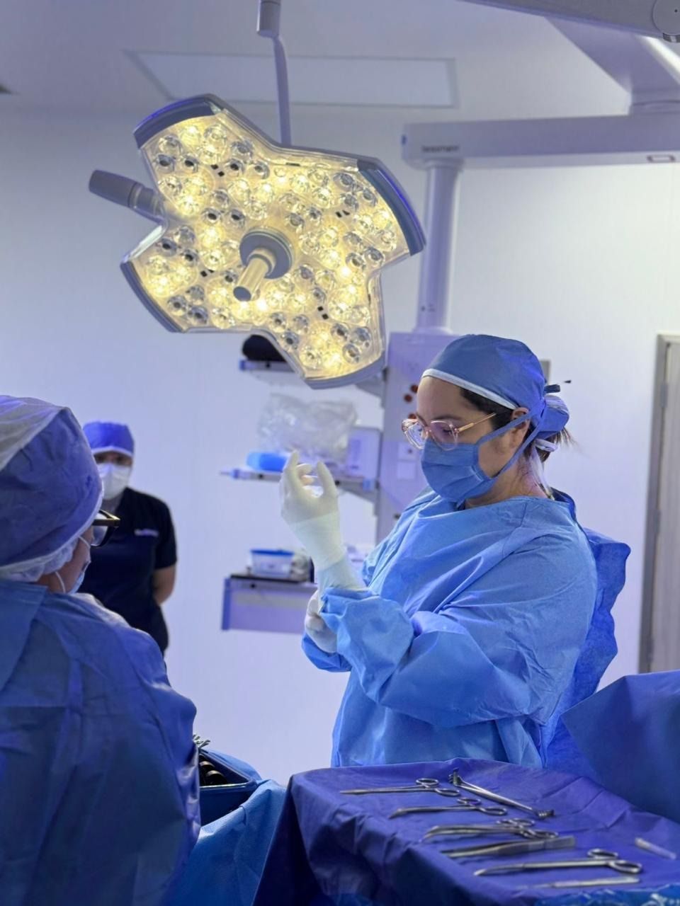 María Teresa Cibrian Pichardo-15