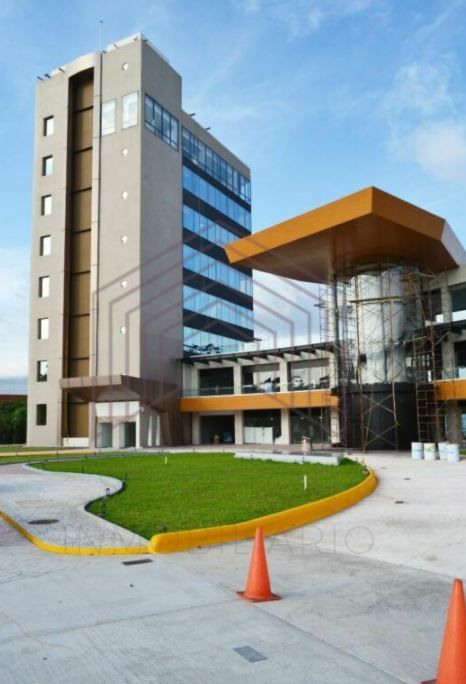 Alfonso Montes De Oca Guzmán-10