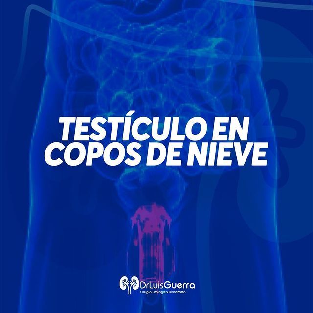 Luis Alberto Guerra Zepeda-48