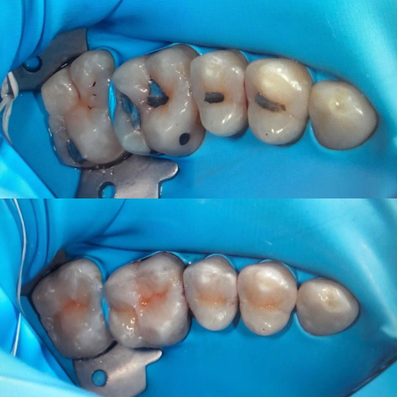 Francisco Jose Vives Serrano-24