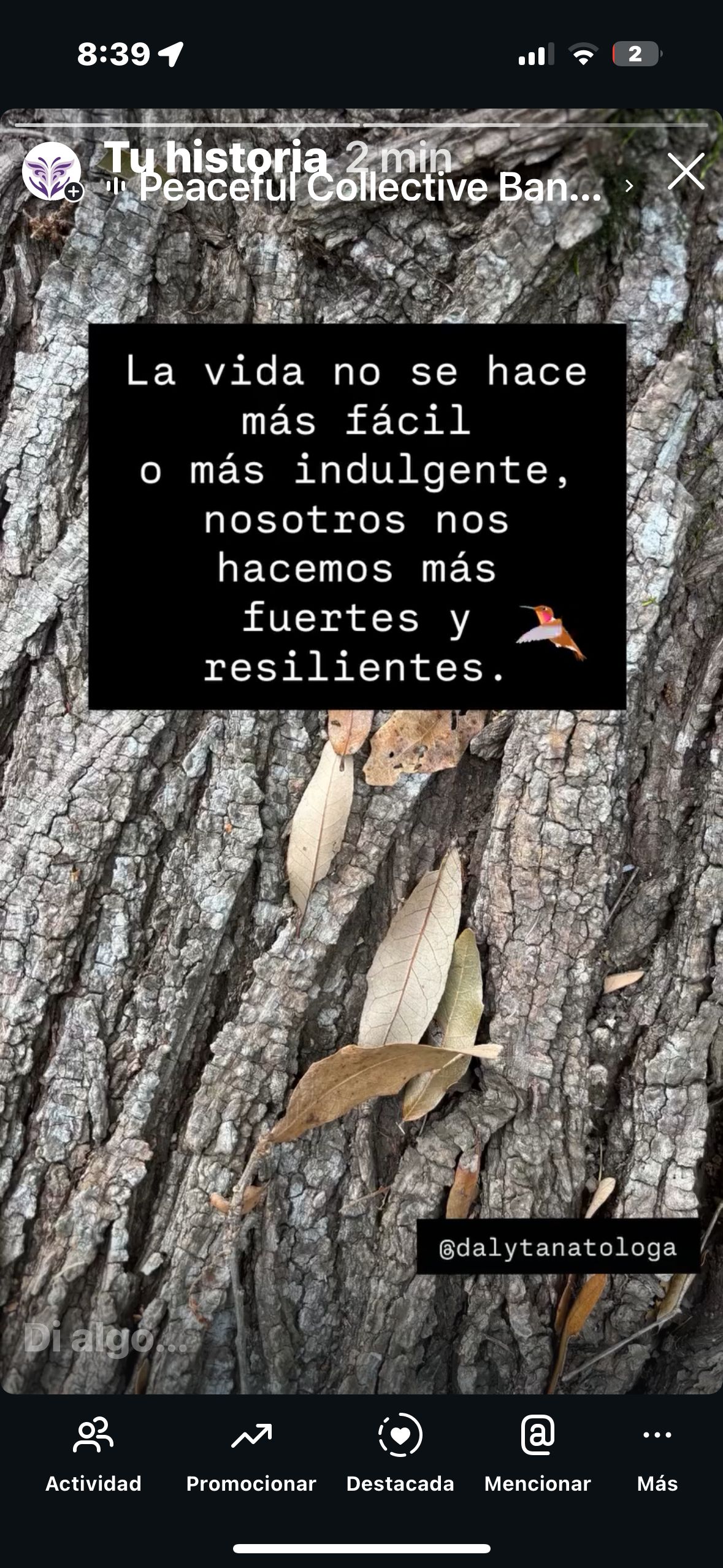 Dalia Angélica Villarreal Rodríguez-19