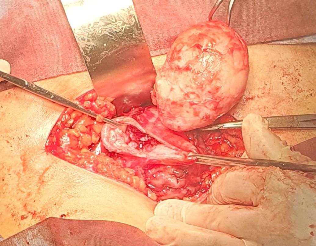 Martha Helena Cabezas Pérez-16