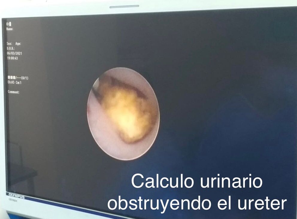 Alfredo Rodríguez Falconi-7