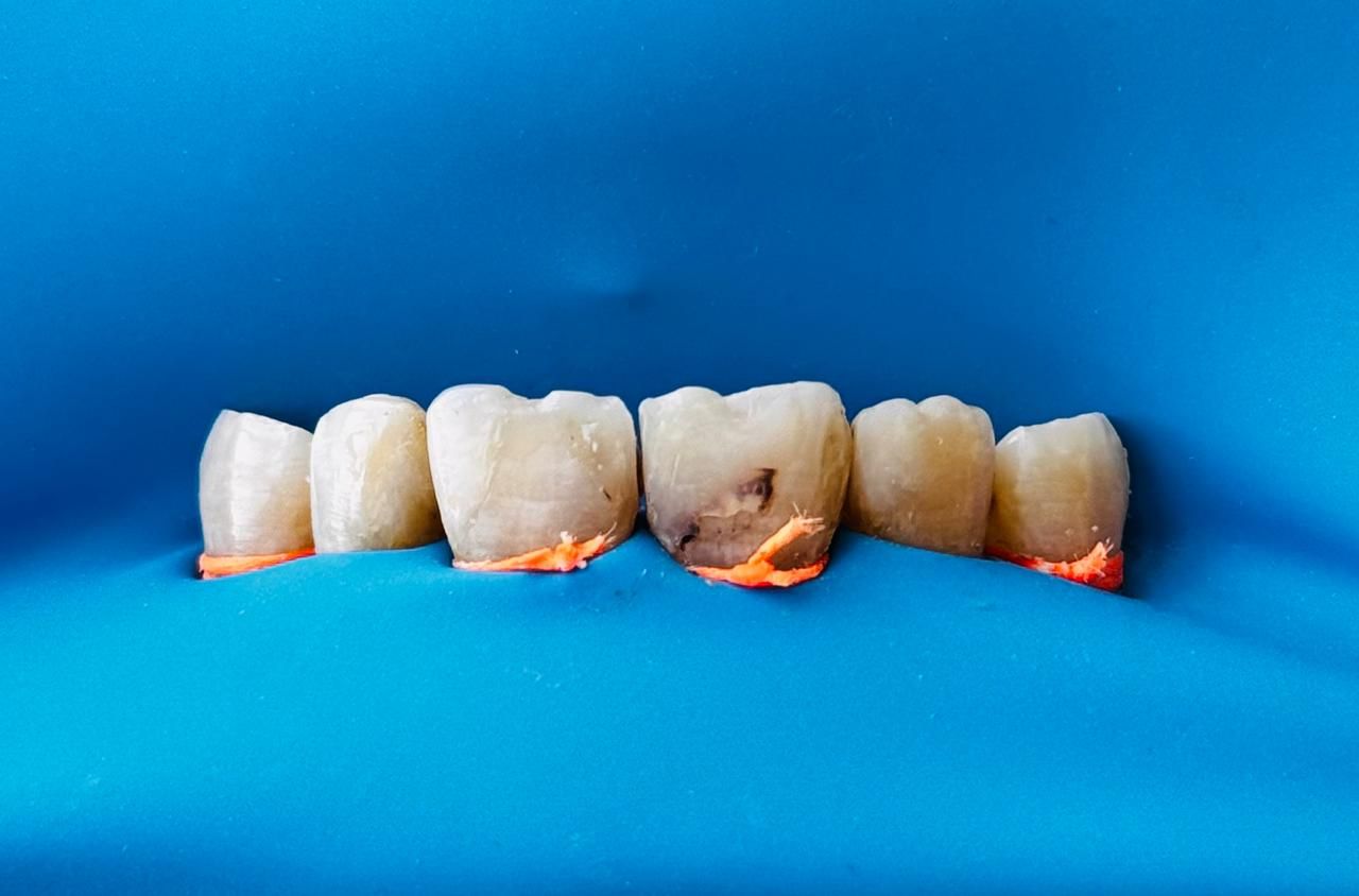 Rocio De La Aurora Carreón Vázquez-5