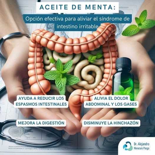 Alejandro Meneses Parga-23