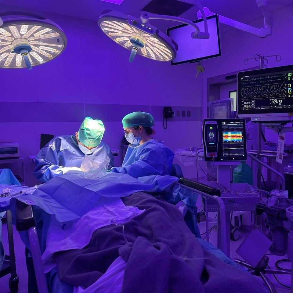 Daniel García Arzate-1