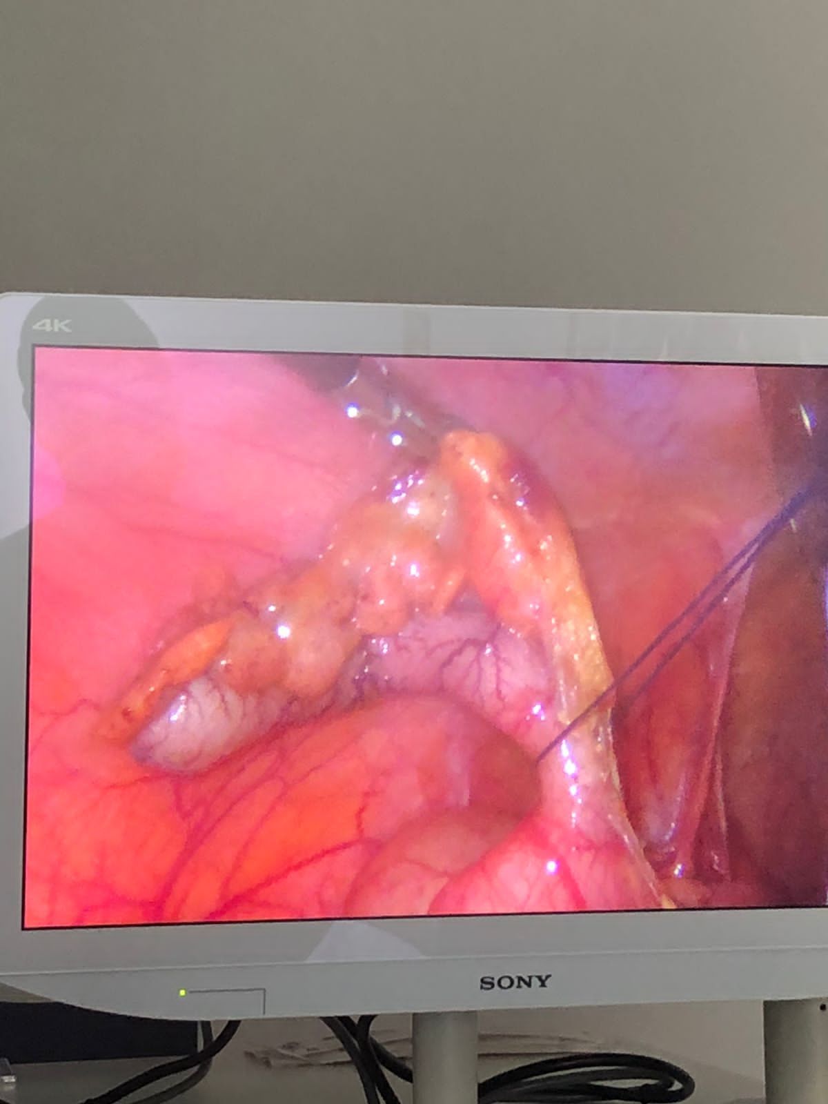 Luis Gabriel González Pérez-3