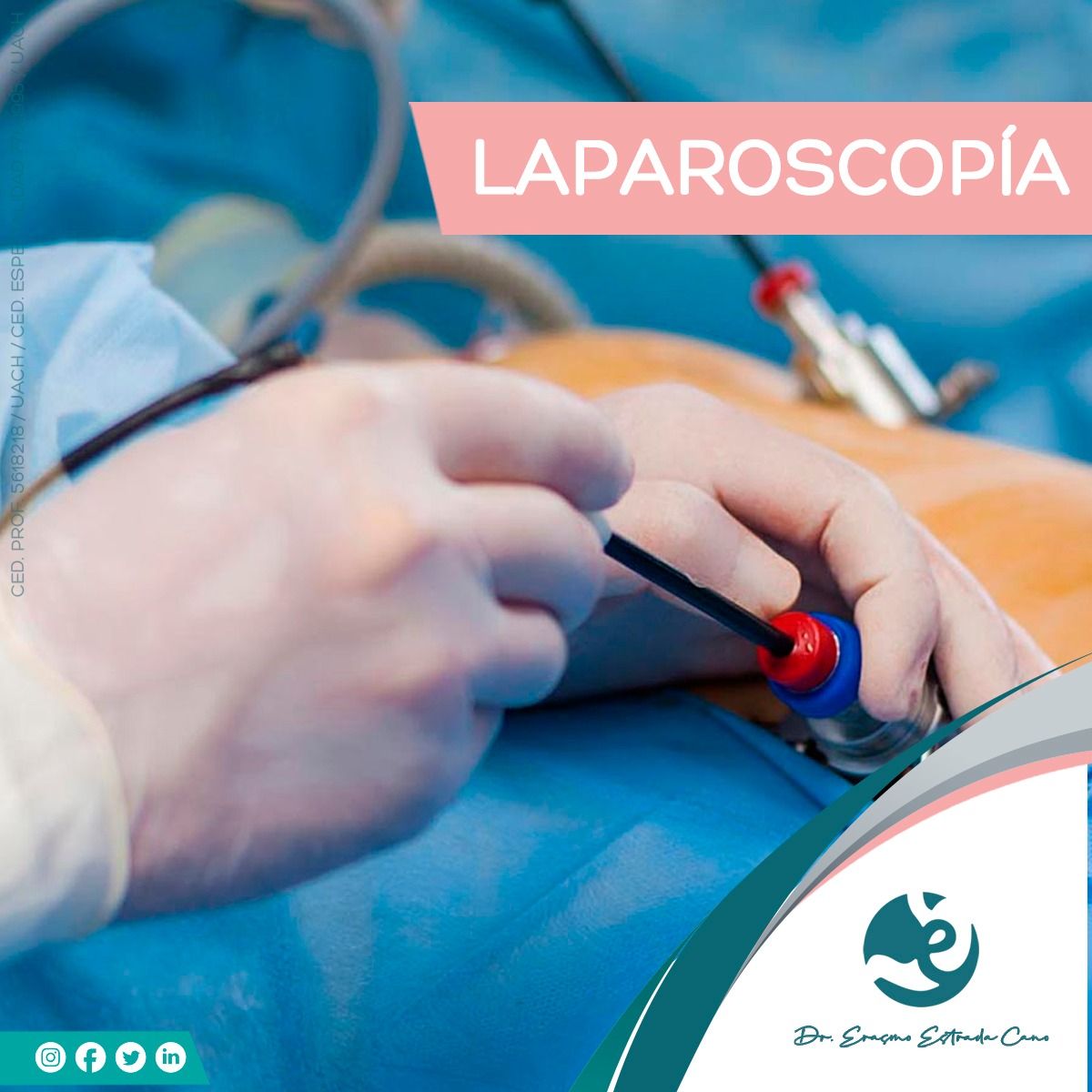 Erasmo Estrada Cano-11